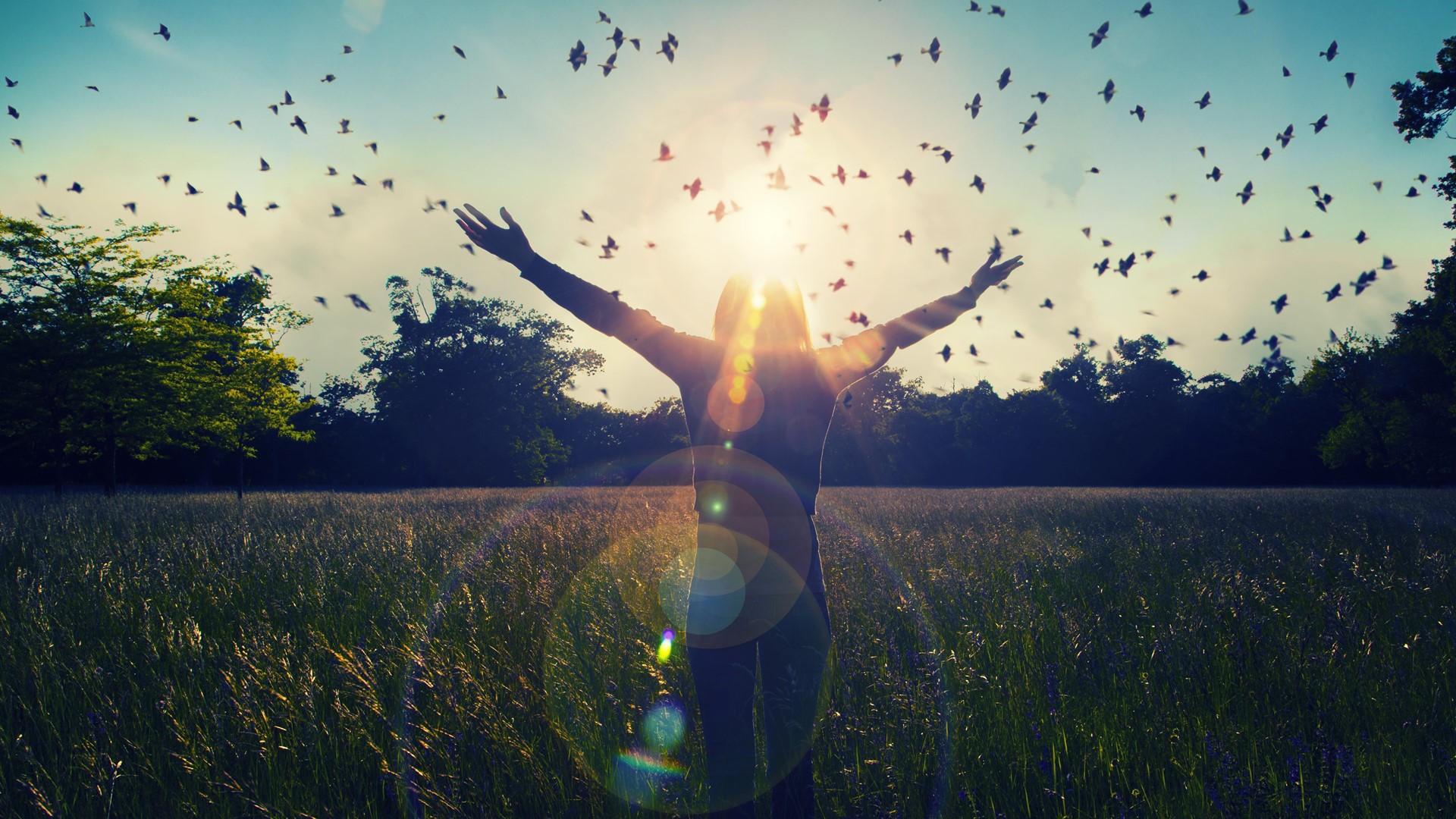 Women's Study: Joy of Living — Romans